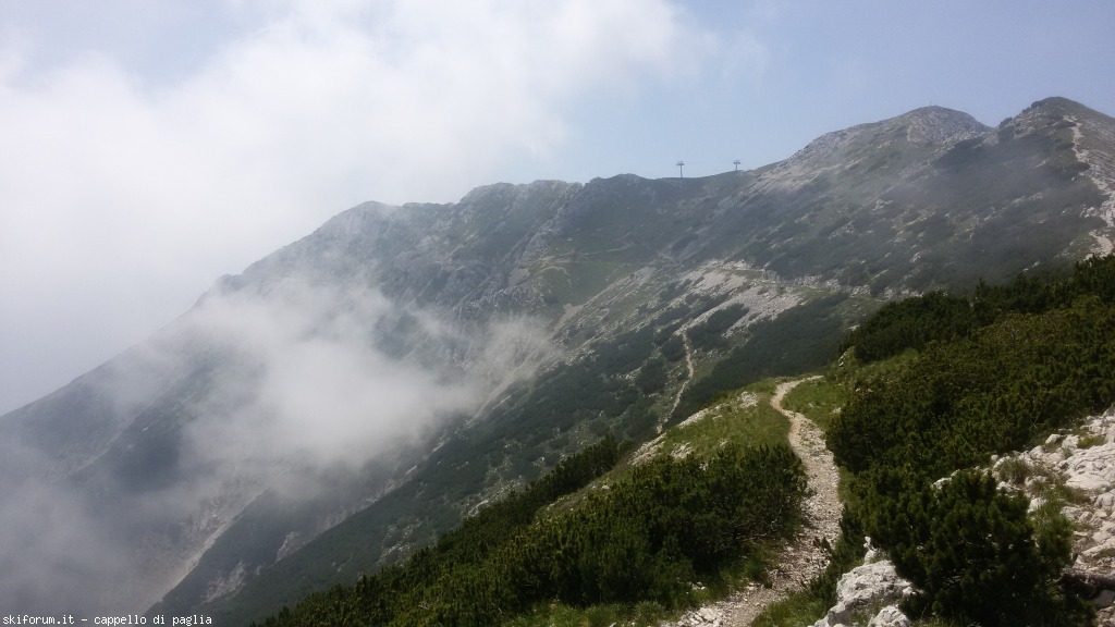 147629-baldo-20150705132950.jpg
