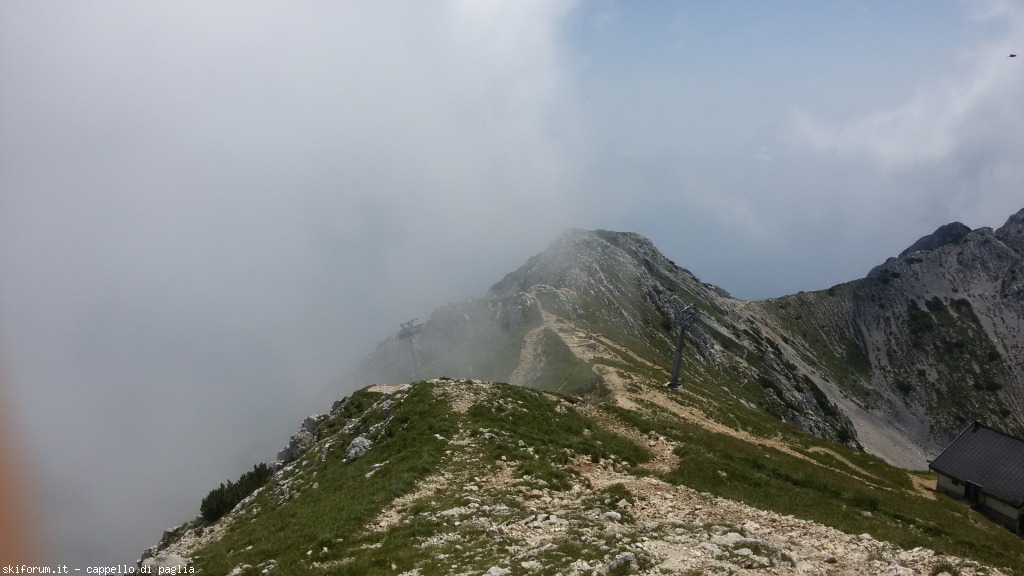 147635-baldo-20150705142522.jpg