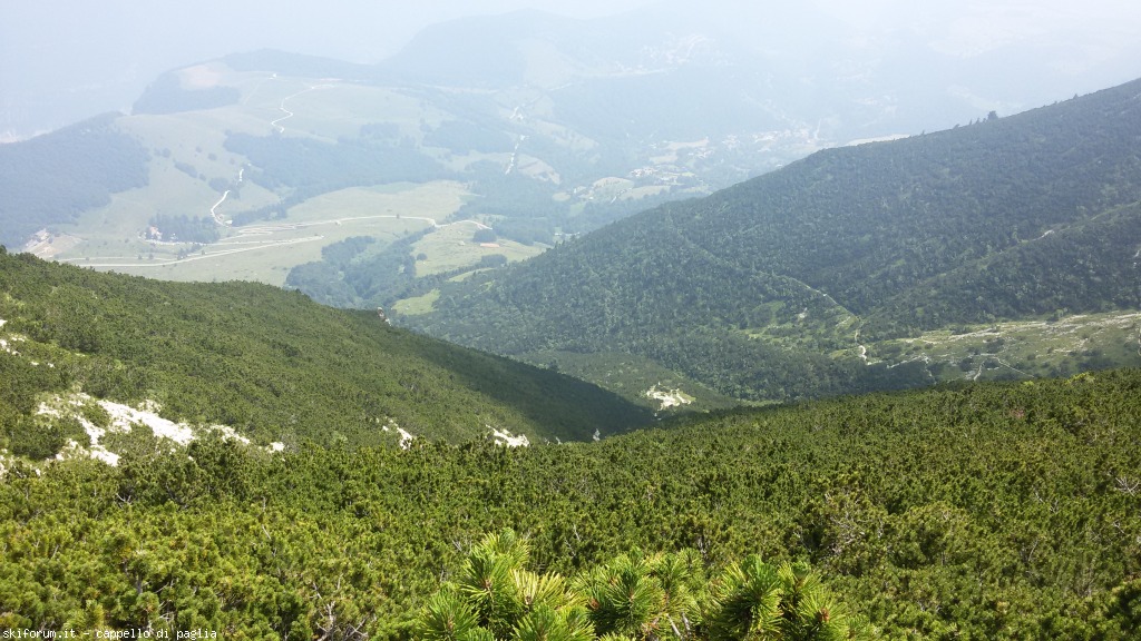 147636-baldo-20150705144654.jpg