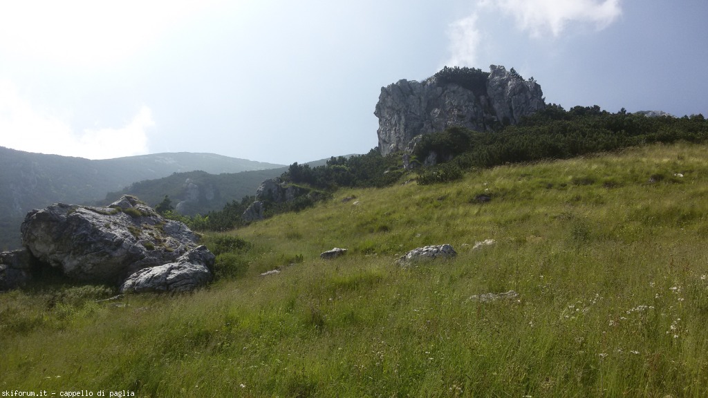 147638-baldo-20150705151410.jpg