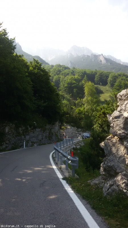 147645-baldo-20150705155701.jpg