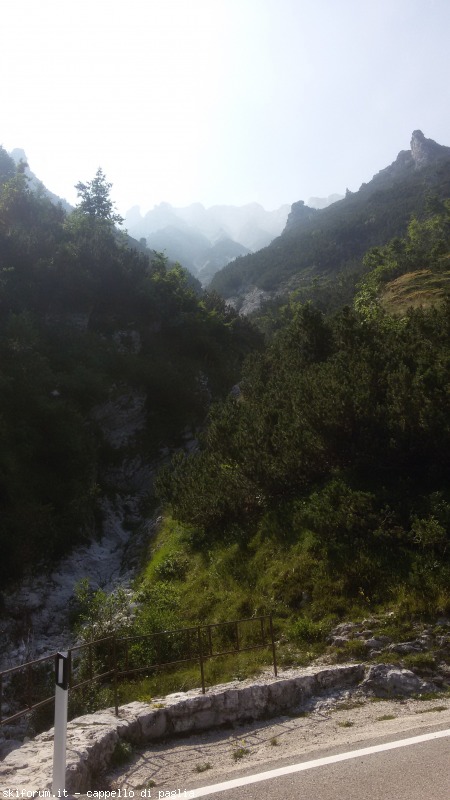 147646-baldo-20150705160042.jpg