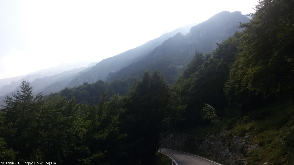 147647-baldo-20150705161257.jpg