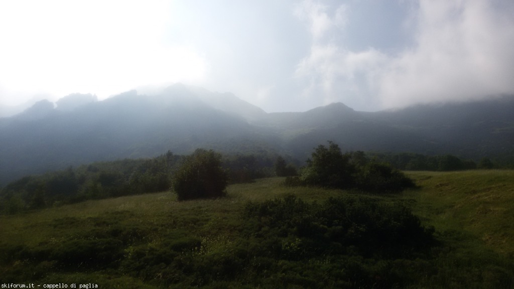 147648-baldo-20150705162104.jpg