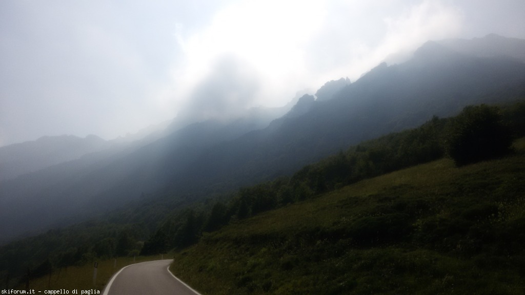 147649-baldo-20150705162109.jpg