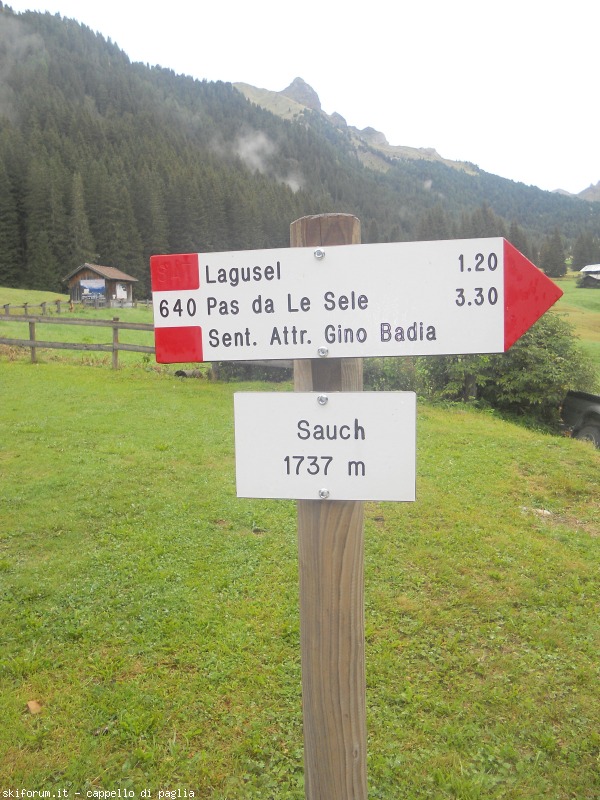 149152-lagusel-dscn9790.jpg