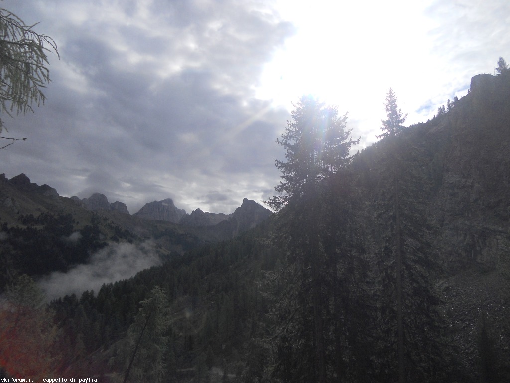 149154-lagusel-dscn9808.jpg