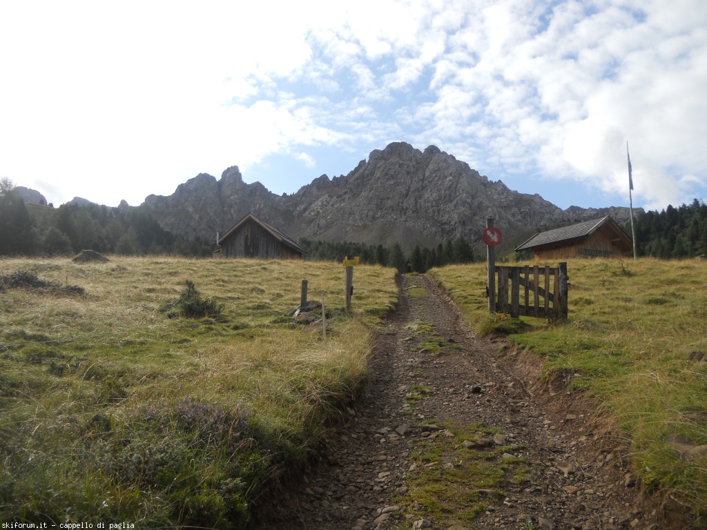 149155-lagusel-dscn9809.jpg