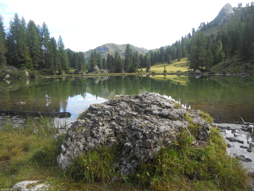 149156-lagusel-dscn9821.jpg