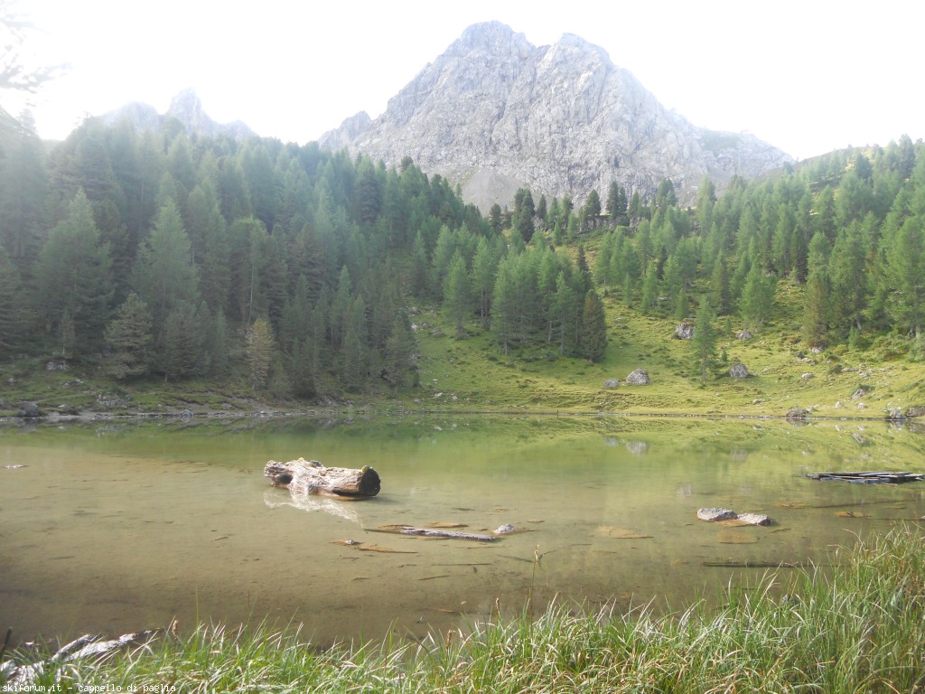 149157-lagusel-dscn9828.jpg