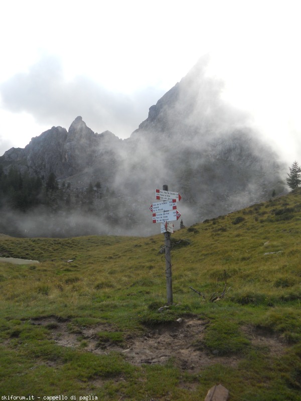 149158-lagusel-dscn9838.jpg