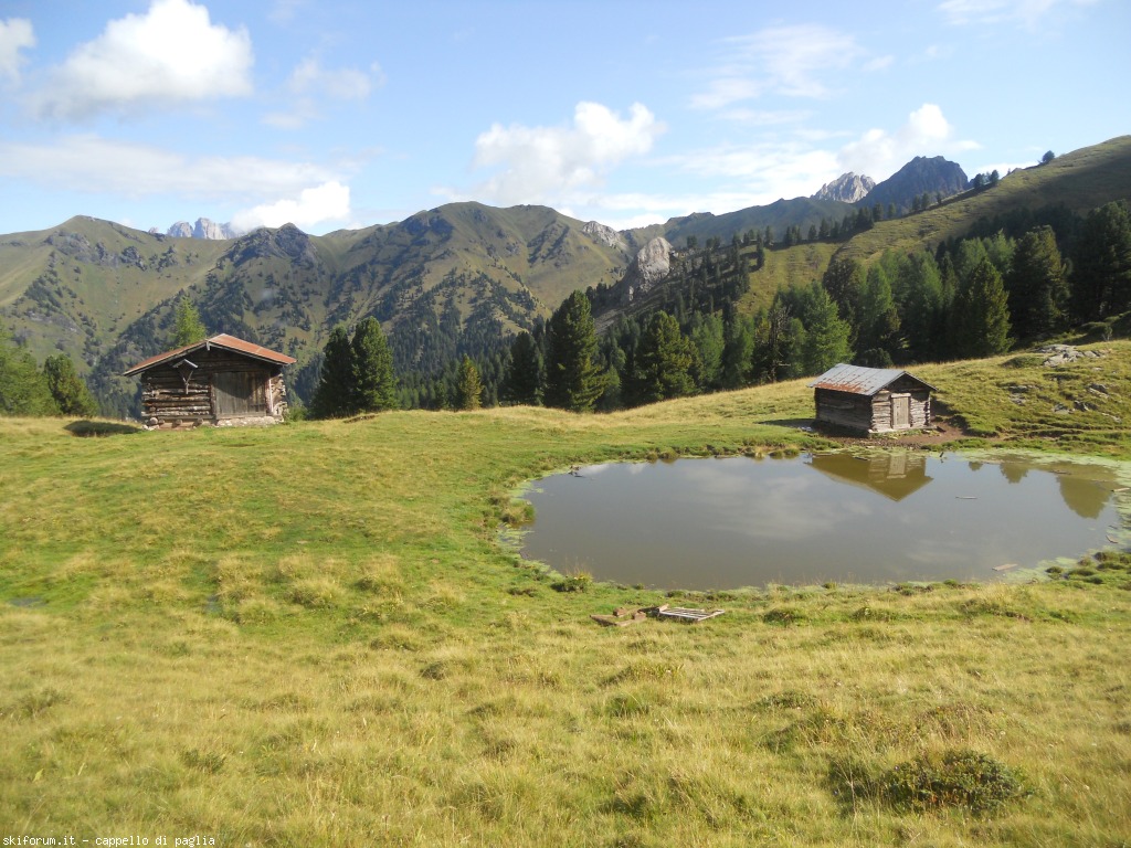 149159-lagusel-dscn9840.jpg