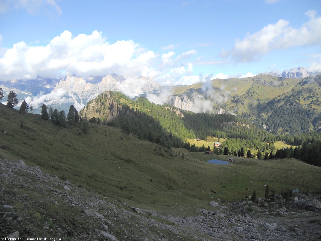 149160-lagusel-dscn9851.jpg
