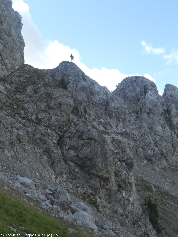 149164-lagusel-dscn9865.jpg