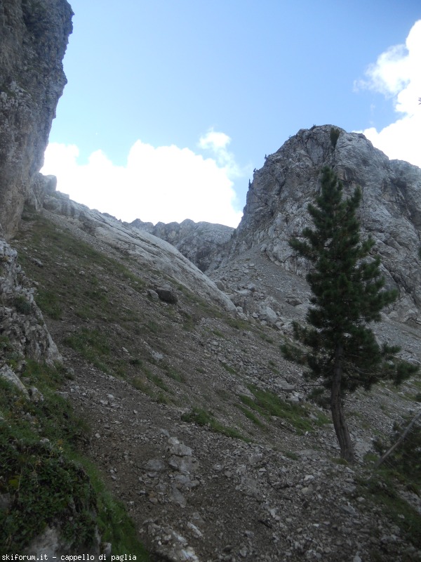 149165-lagusel-dscn9870.jpg