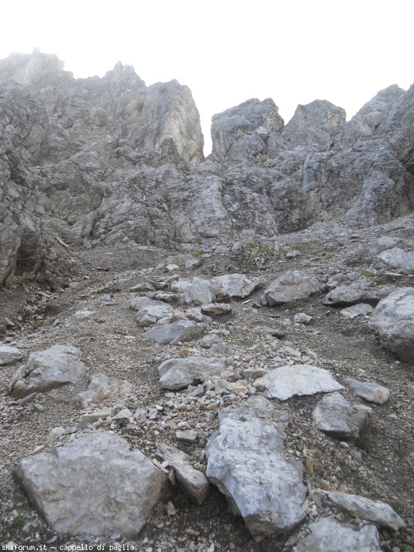 149171-lagusel-dscn9894.jpg