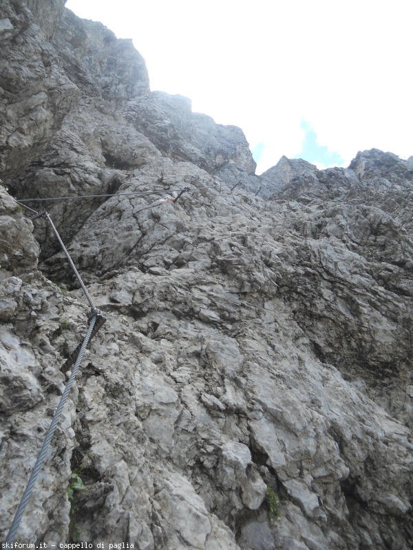 149172-lagusel-dscn9897.jpg