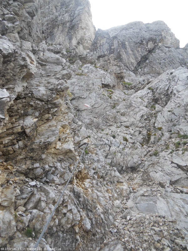 149173-lagusel-dscn9899.jpg