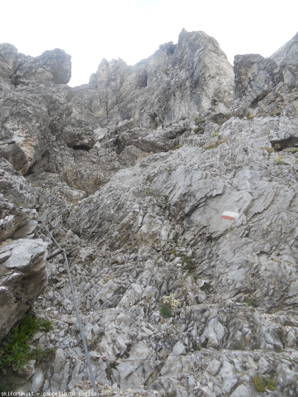 149174-lagusel-dscn9902.jpg