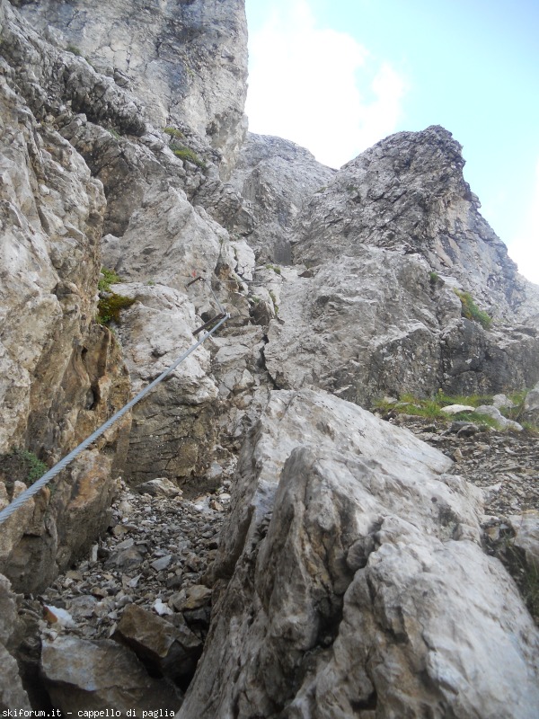 149175-lagusel-dscn9905.jpg