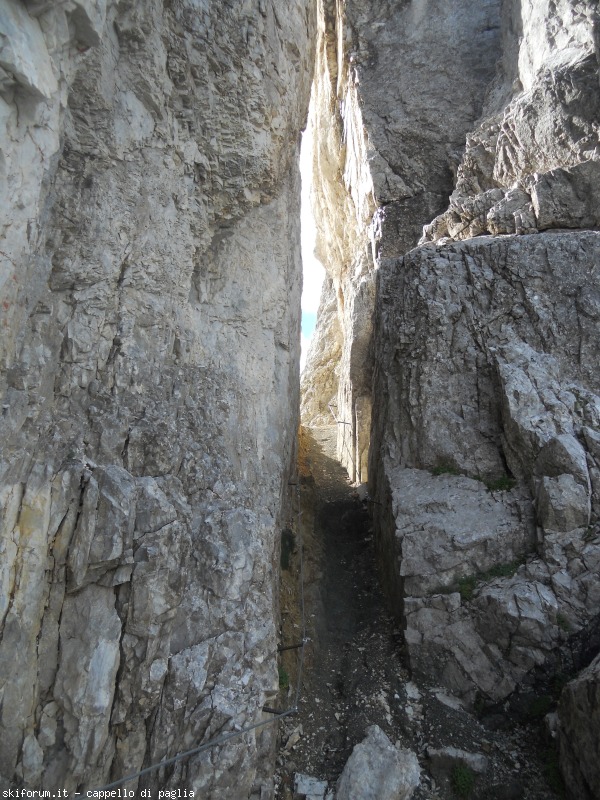 149176-lagusel-dscn9909.jpg