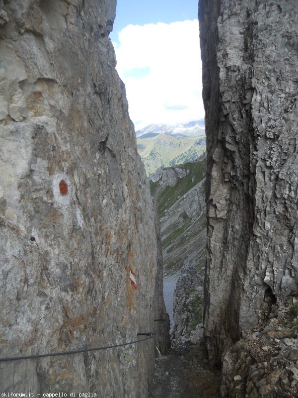 149177-lagusel-dscn9915.jpg