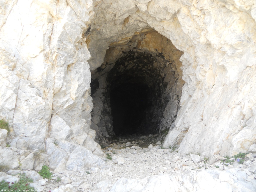 149178-lagusel-dscn9921.jpg