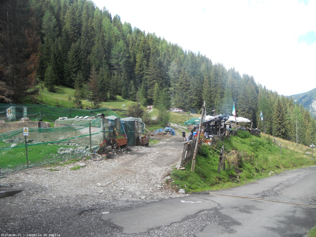 149186-lagusel-dscn9984.jpg