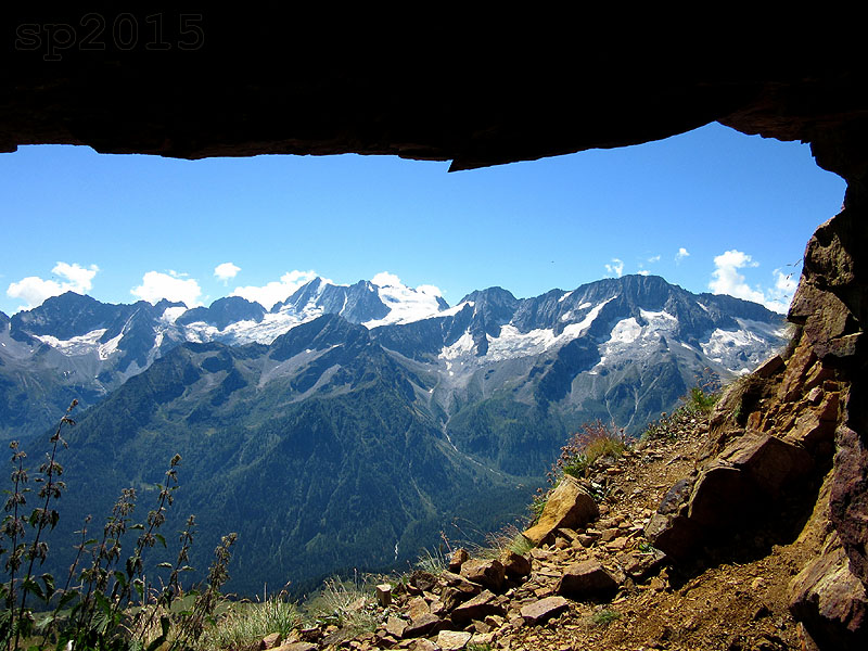 149271-estate-retica-img9057.jpg