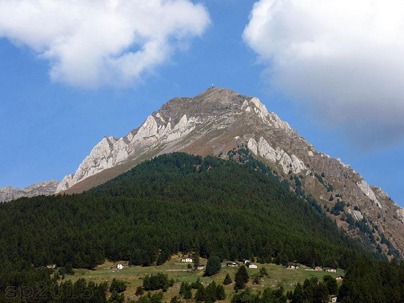 149293-estate-retica-img9603.jpg