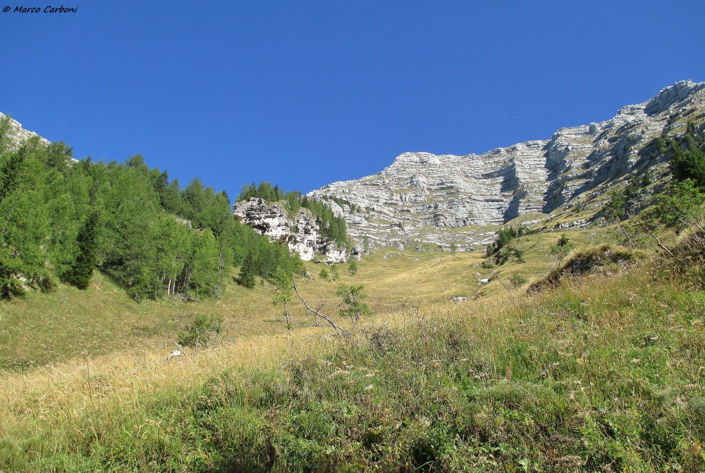 149527-cimone-1-img2339.jpg