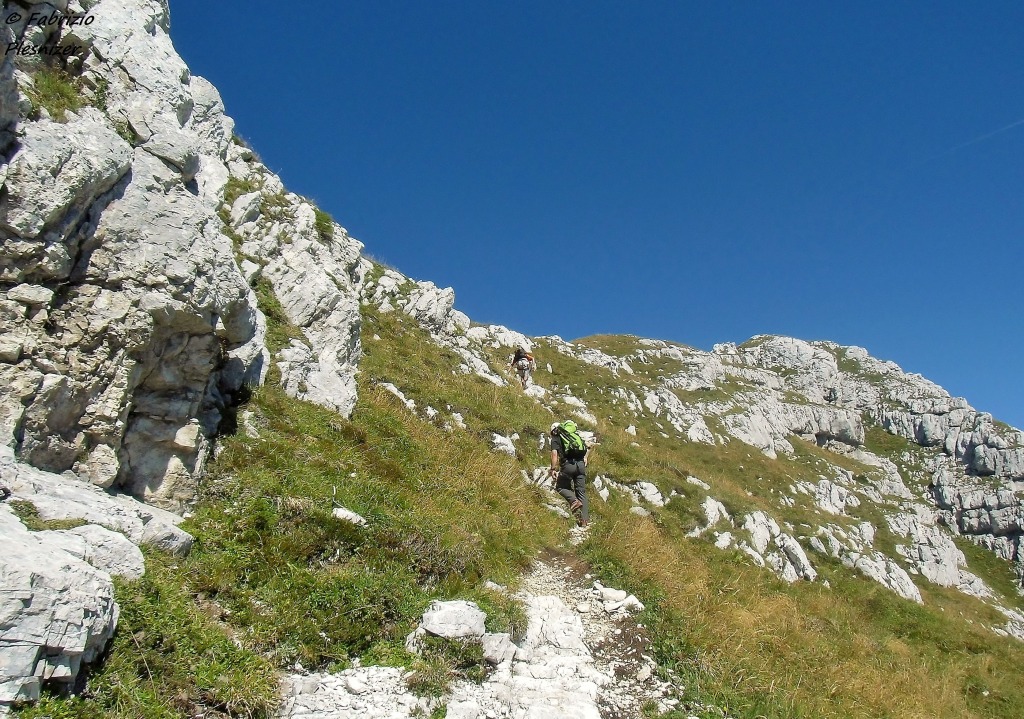 149569-cimone-f-cimg3701.jpg