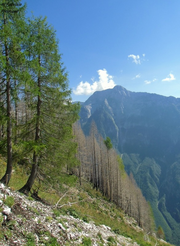 149574-cimone-f-cimg3732.jpg