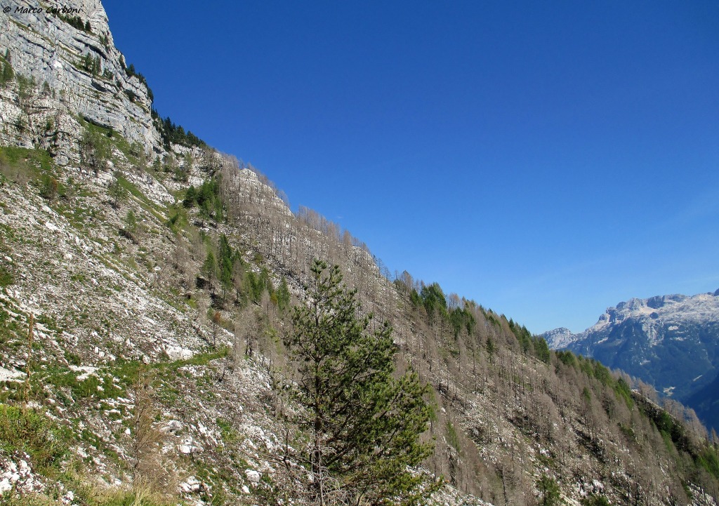 149594-cimone-5-img2446.jpg