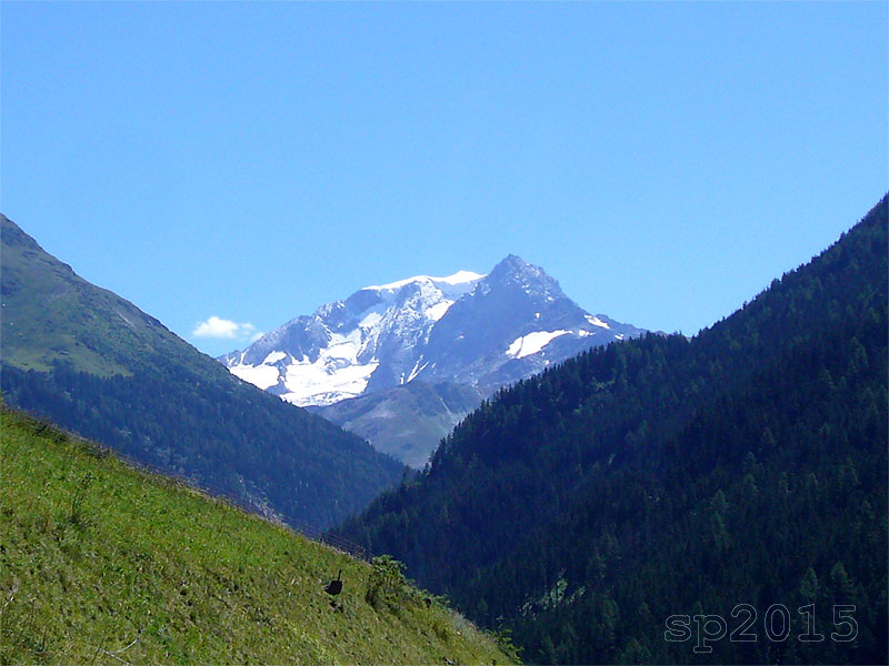 149748-wlf-triplo-wlf1.jpg