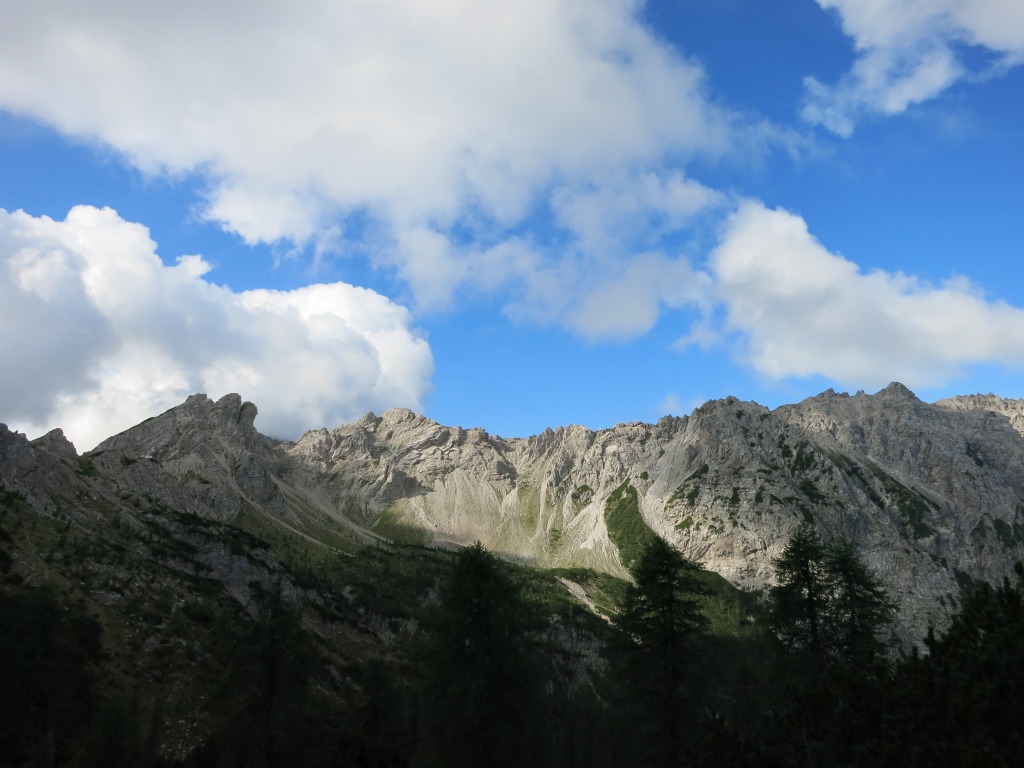 149764-titabarba2015-img5846.jpg