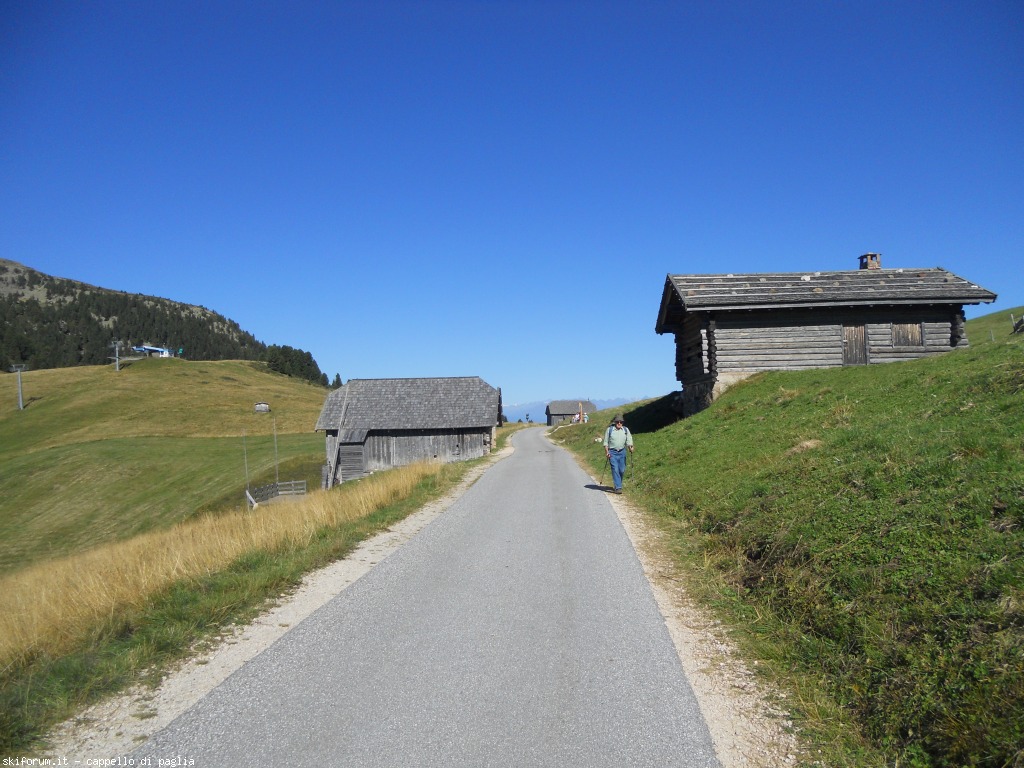150184-paladisanta-dscn8315.jpg