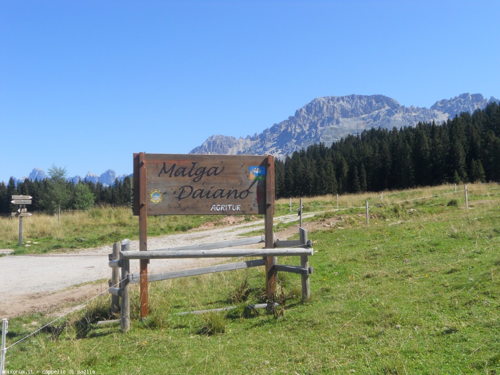 150189-paladisanta-dscn8346.jpg