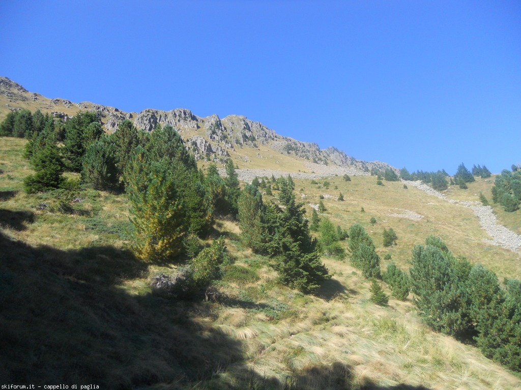 150195-paladisanta-dscn8410.jpg
