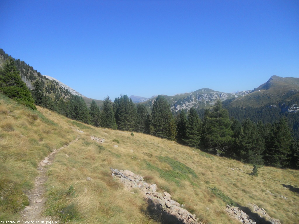 150197-paladisanta-dscn8415.jpg