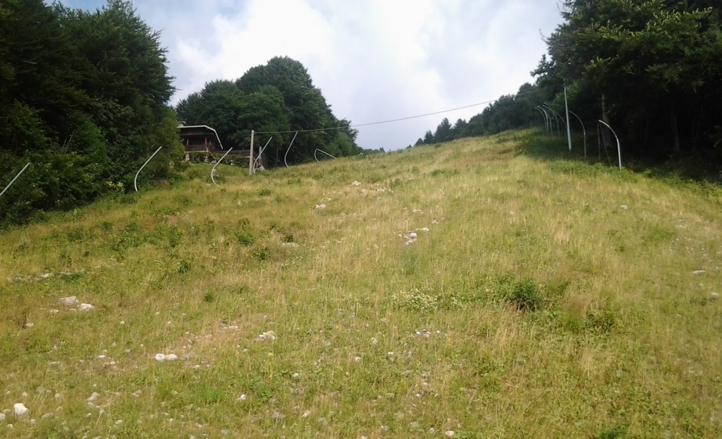 150384-2015-08-06-17.37.03x.jpg