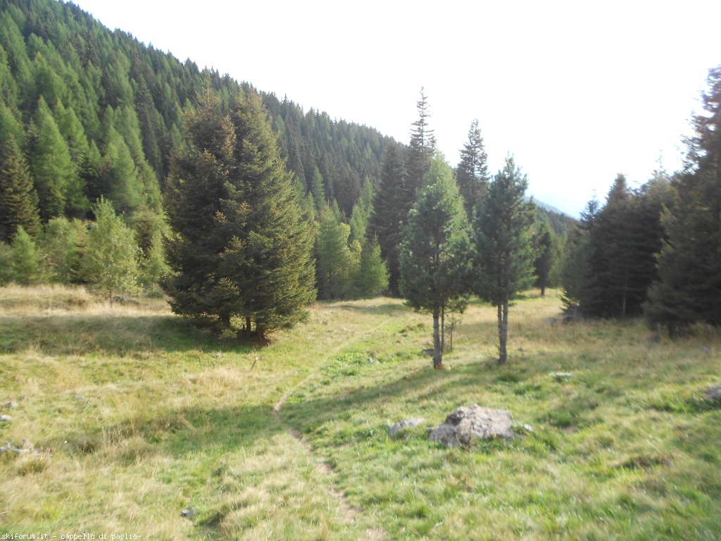 150872-val-dei-mocheni-dscn7103.jpg