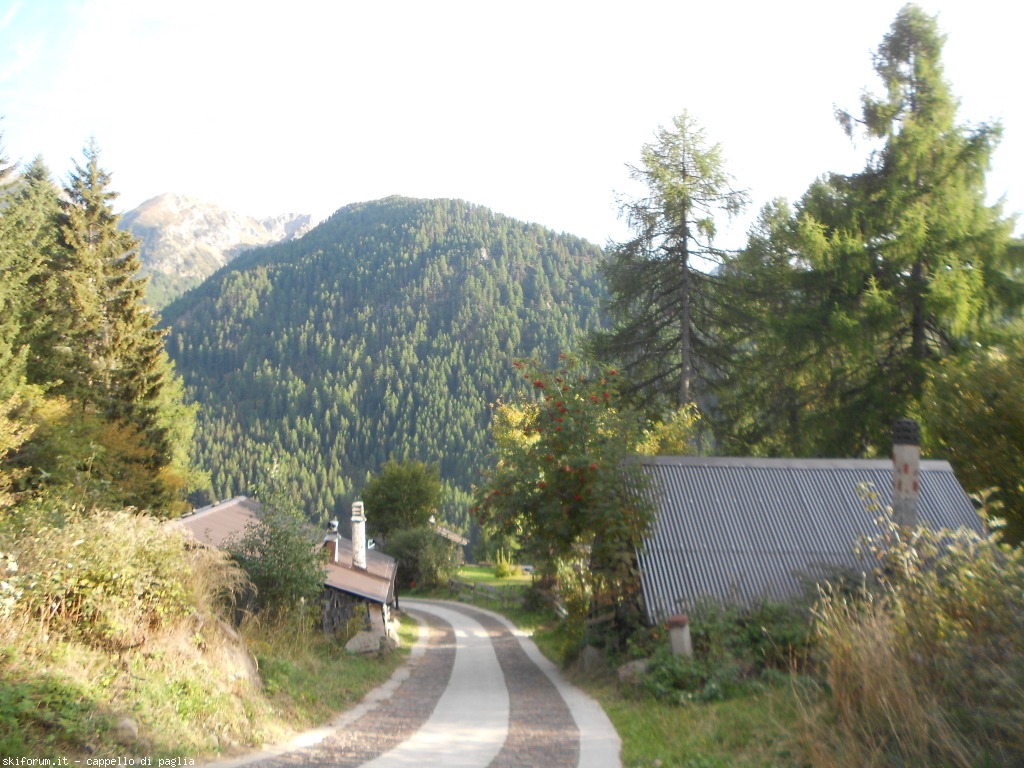 150876-val-dei-mocheni-dscn7115.jpg