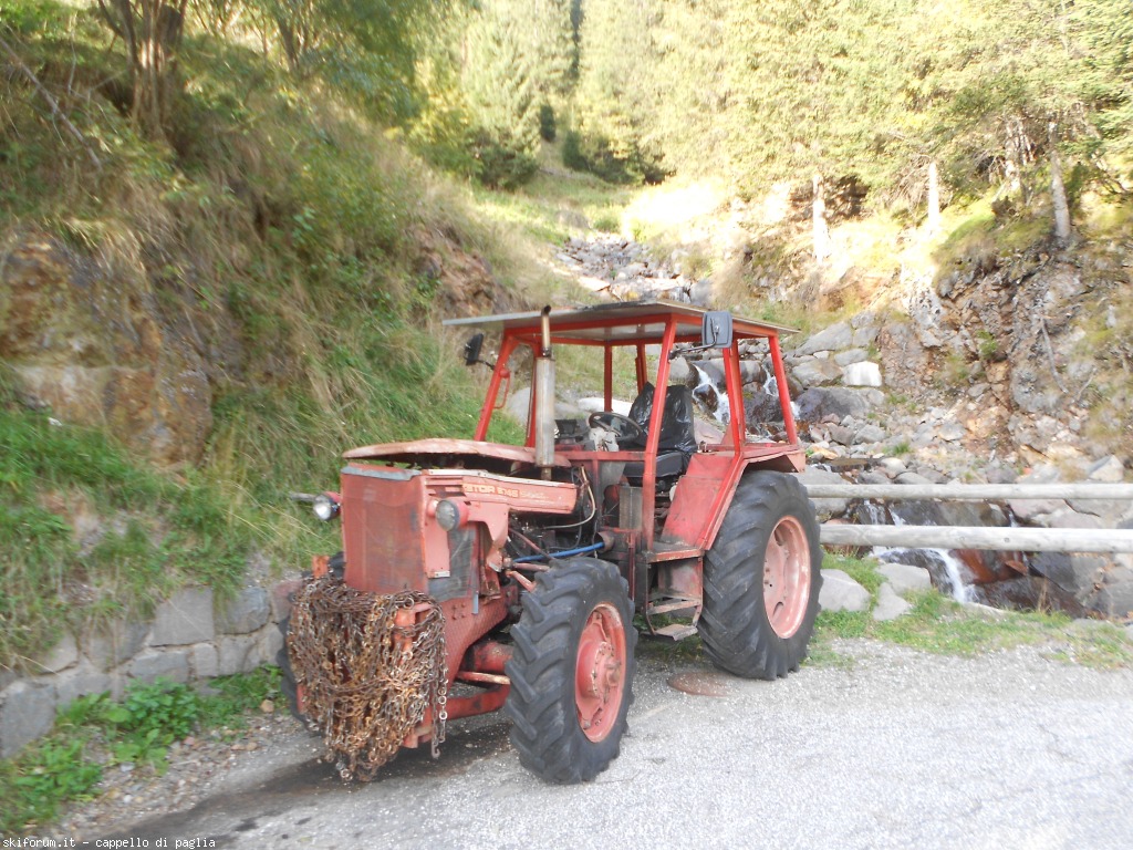 150885-val-dei-mocheni-dscn7129.jpg