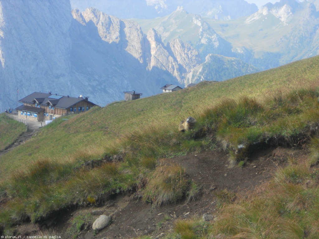 150950-creste-del-pan-dscn9525.jpg