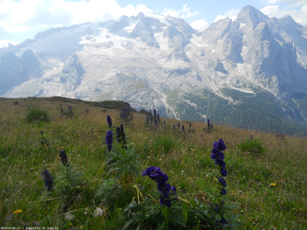 150964-creste-del-pan-dscn9637.jpg