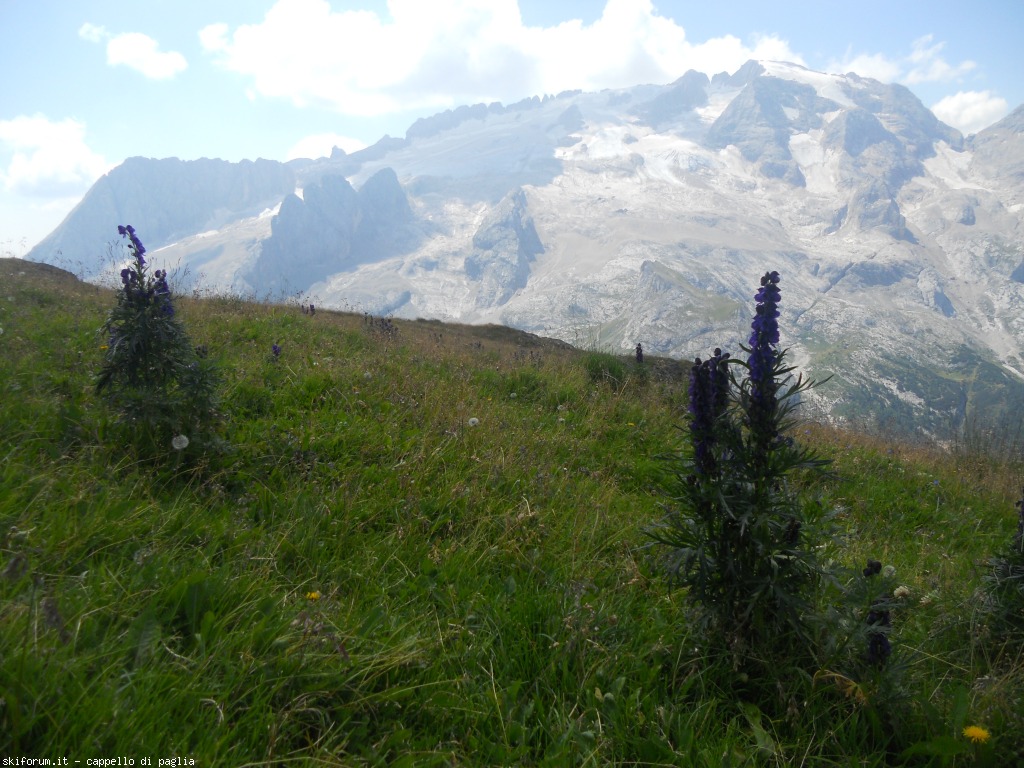 150965-creste-del-pan-dscn9638.jpg