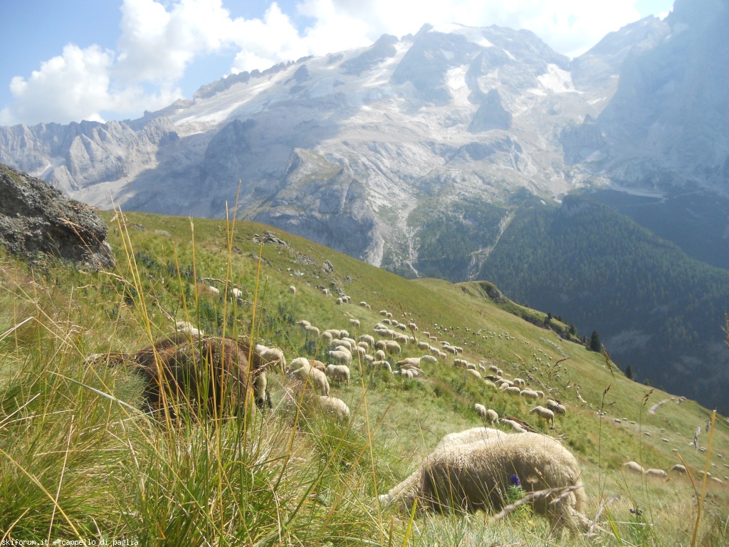 150975-creste-del-pan-dscn9734.jpg