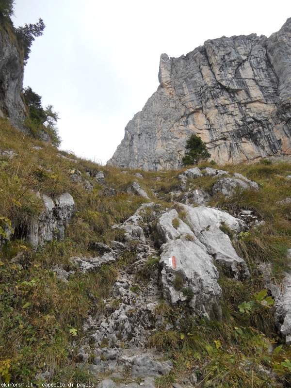 151193-val-ceda-seghe-dscn8815.jpg