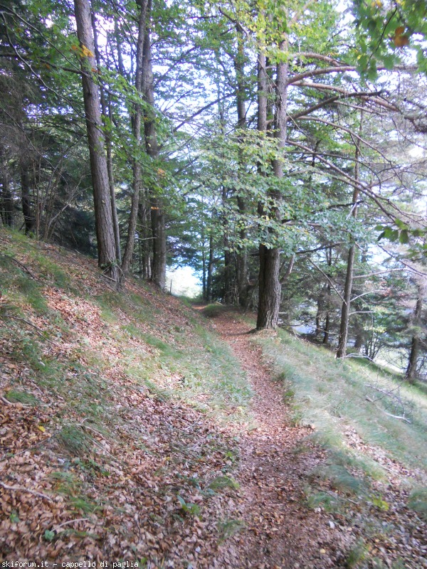 151197-val-ceda-seghe-dscn8832.jpg